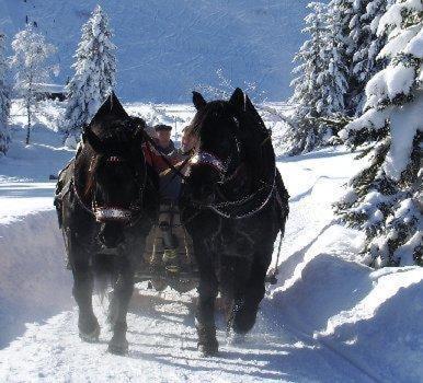 Hotel Oxa Hittisau Bagian luar foto